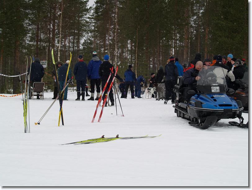 Nästa bild